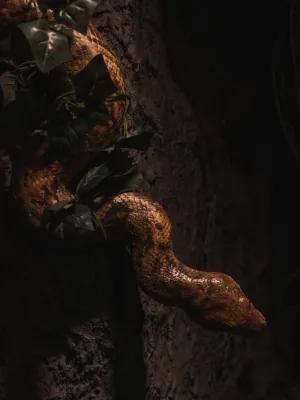 Jumanji poster4